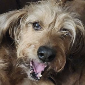 Meet your Posher, Keaton